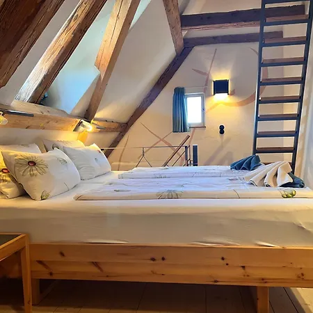 Hotel Seehotel Amtshof