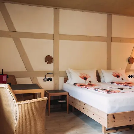 ホテル Seehotel Amtshof ランゲナルゲン