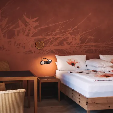 ホテル Seehotel Amtshof ランゲナルゲン