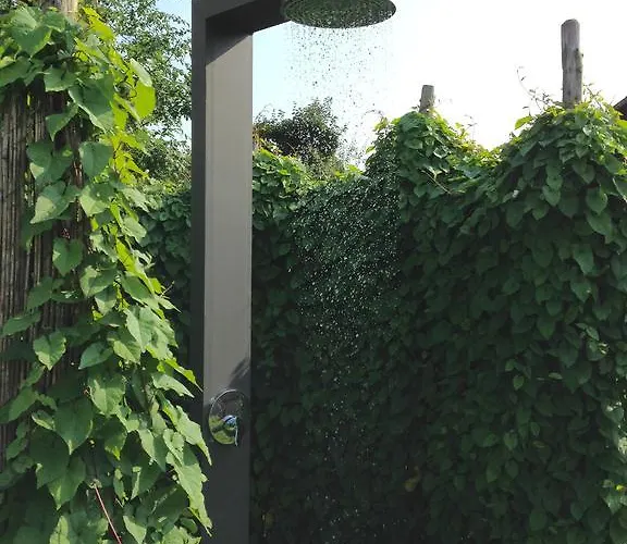 ホテル Seehotel Amtshof ランゲナルゲン